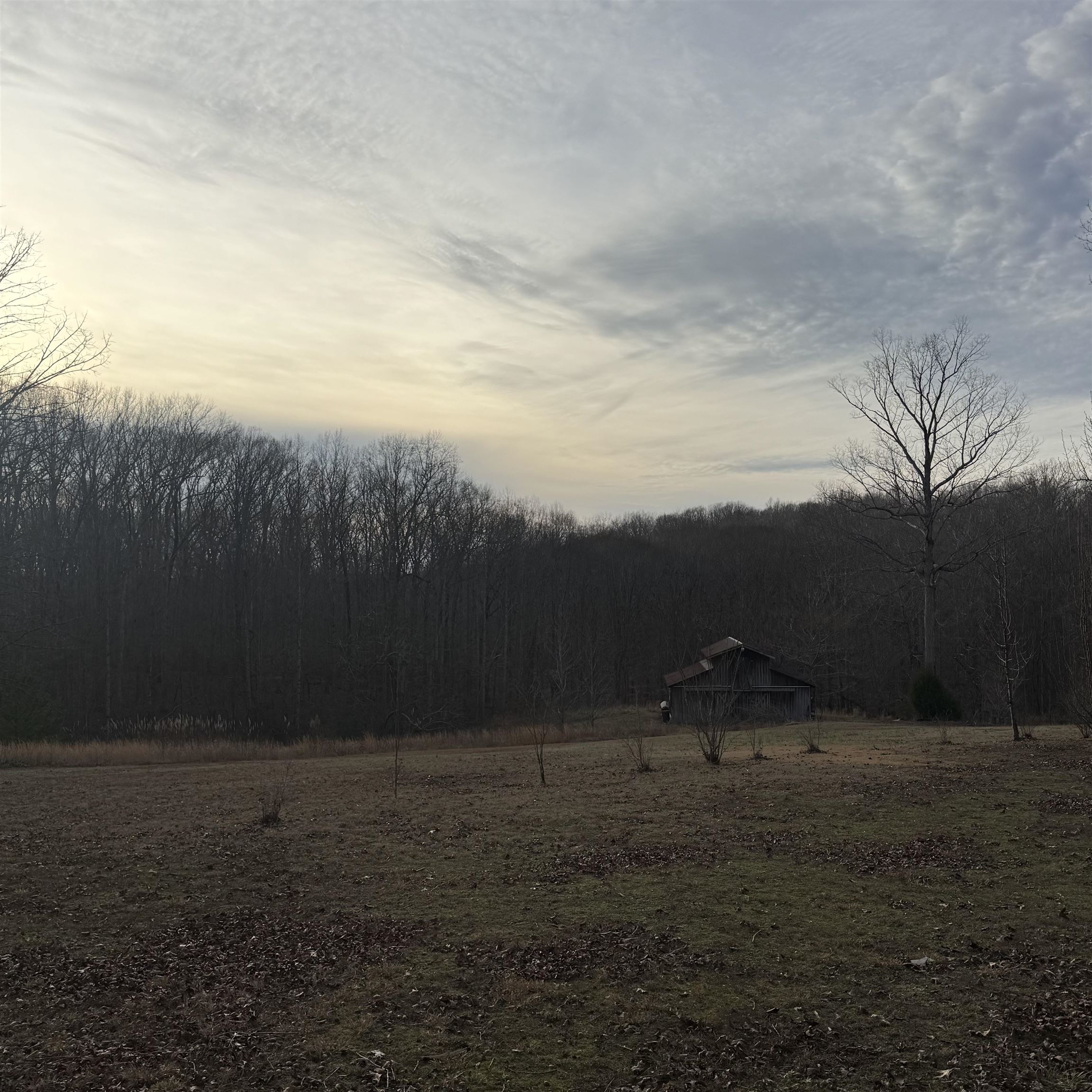 1595 Kelly Road Holladay, TN 38341 - Photo 13 of 15 a view of outdoor space and yard