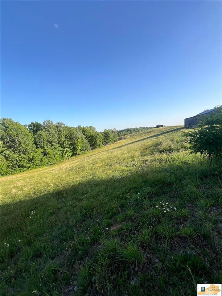 2417 Weed-Keltner Road Edmonton, KY 42129 - Photo 19 of 93 Gallery Image 19