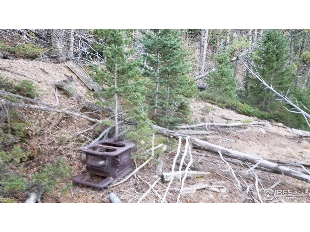 0 Pennsylvania Gulch Road Boulder, CO 80302 - Photo 11 of 18 a black and white photo of a yard