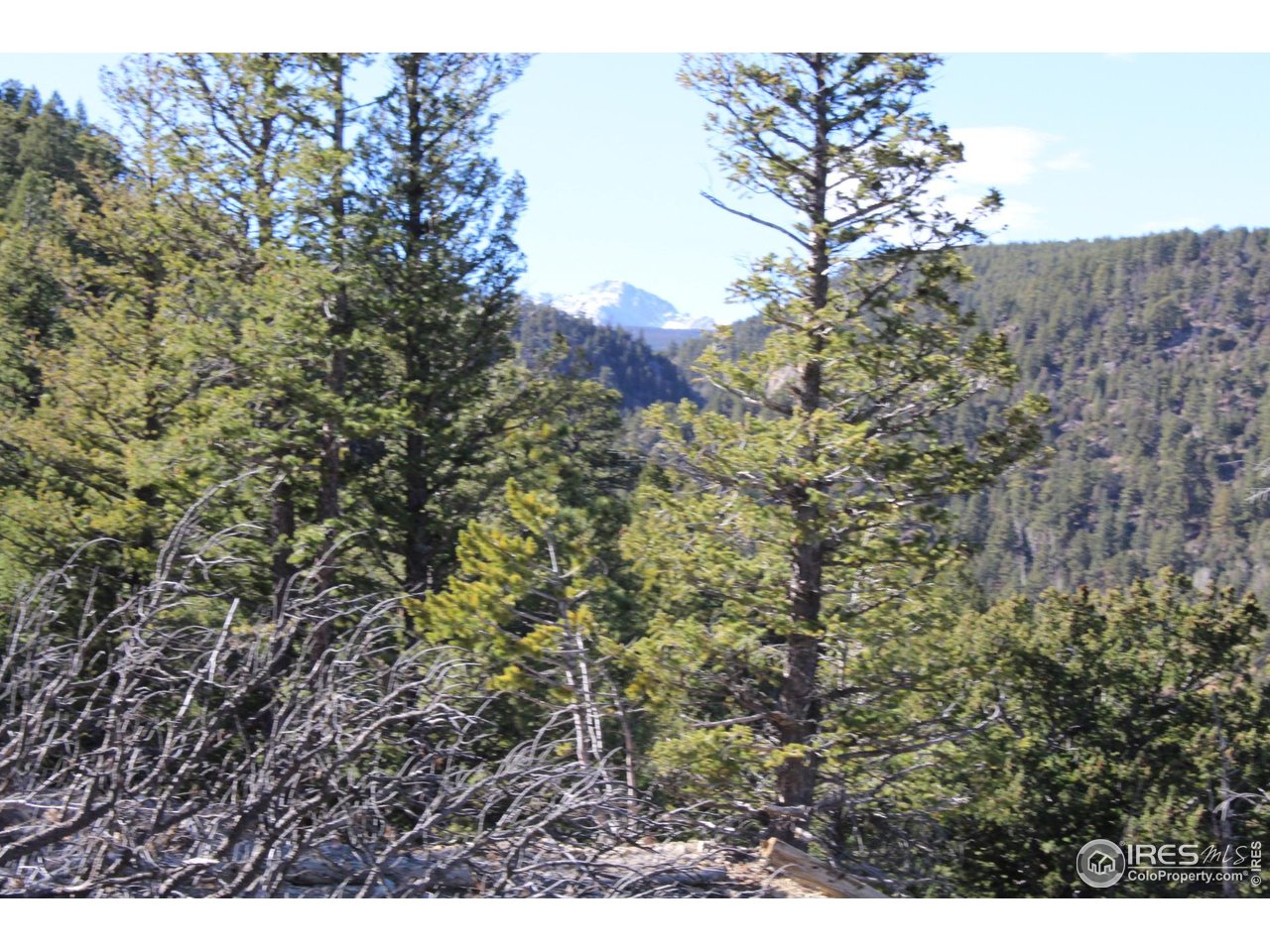 0 Pennsylvania Gulch Road Boulder, CO 80302 - Photo 18 of 18 a view of a house in a forest