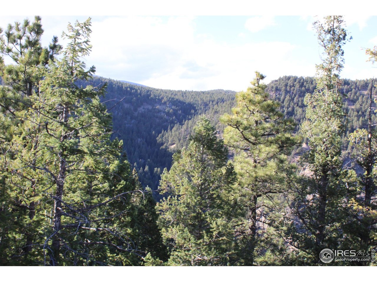 0 Pennsylvania Gulch Road Boulder, CO 80302 - Photo 5 of 18 a view of a tree