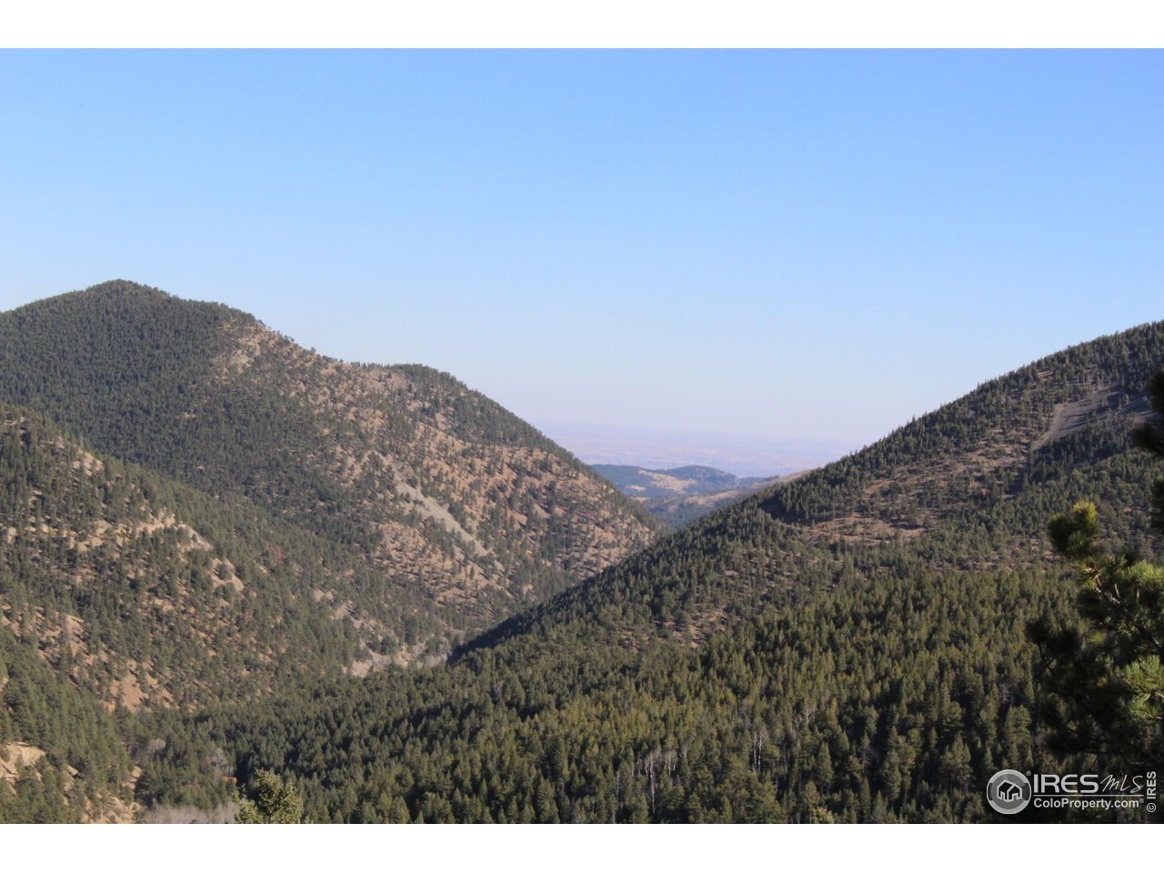 0 Pennsylvania Gulch Road Boulder, CO 80302 - Photo 6 of 18 a view of a dry yard with mountain view
