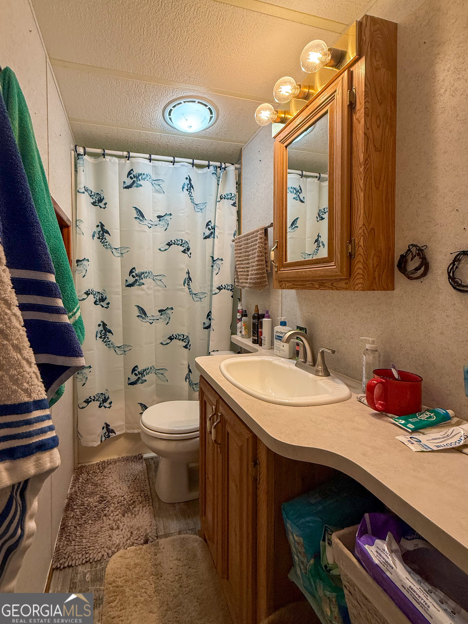 61 Rocky Lane Cleveland, GA 30528 - Photo 16 of 20 a bathroom with a sink a toilet and shower curtain