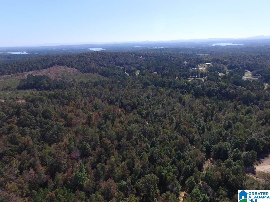 Sprayberry Road, Unit 103 Cropwell, AL 35054 - Photo 6 of 48