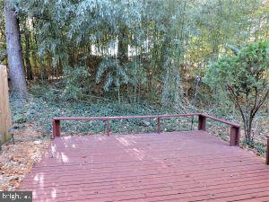 9217 Three Oaks Drive Silver Spring, MD 20901 - Photo 13 of 24 Deck and view