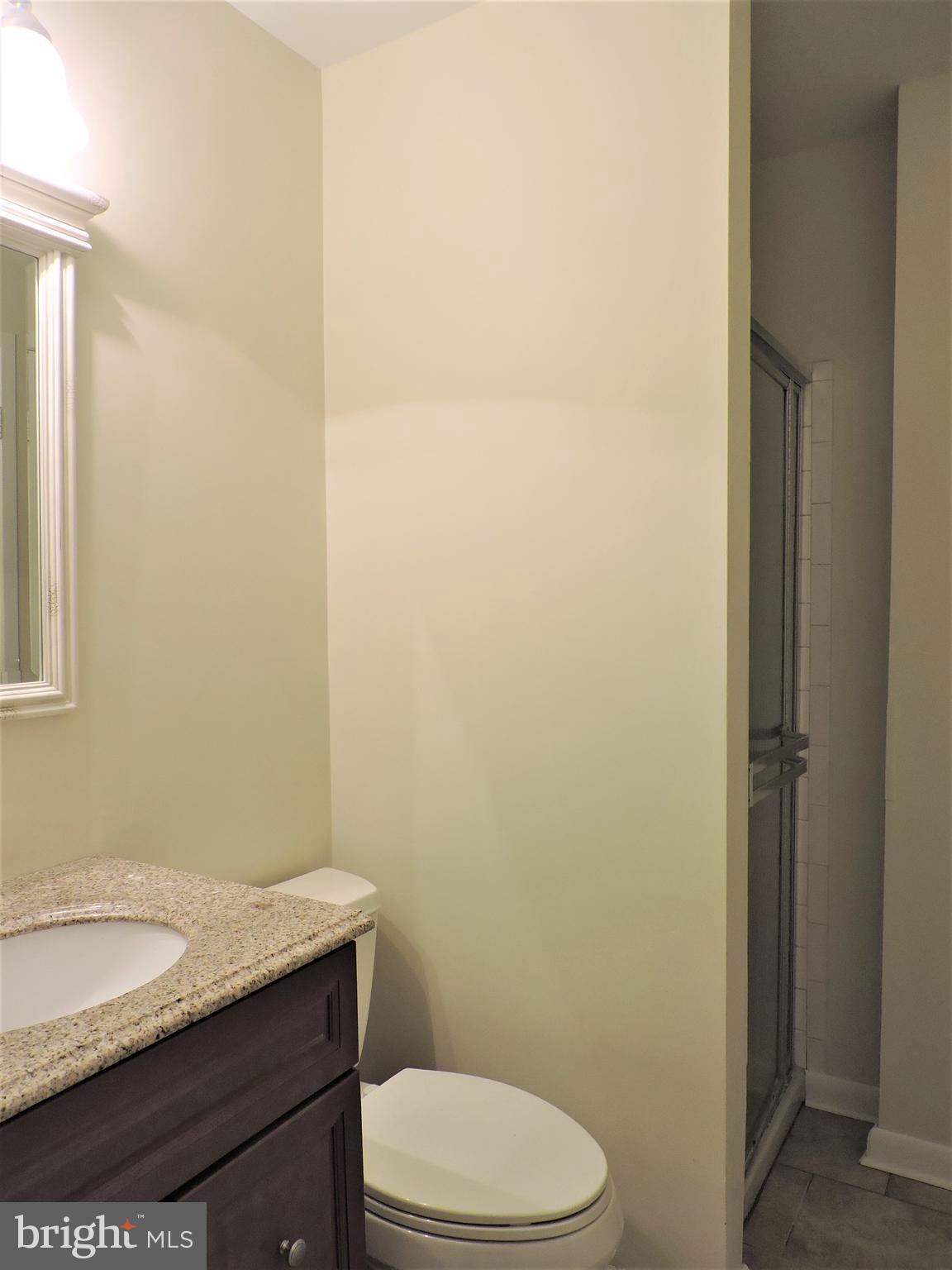 9217 Three Oaks Drive Silver Spring, MD 20901 - Photo 23 of 24 Third bath - lower level