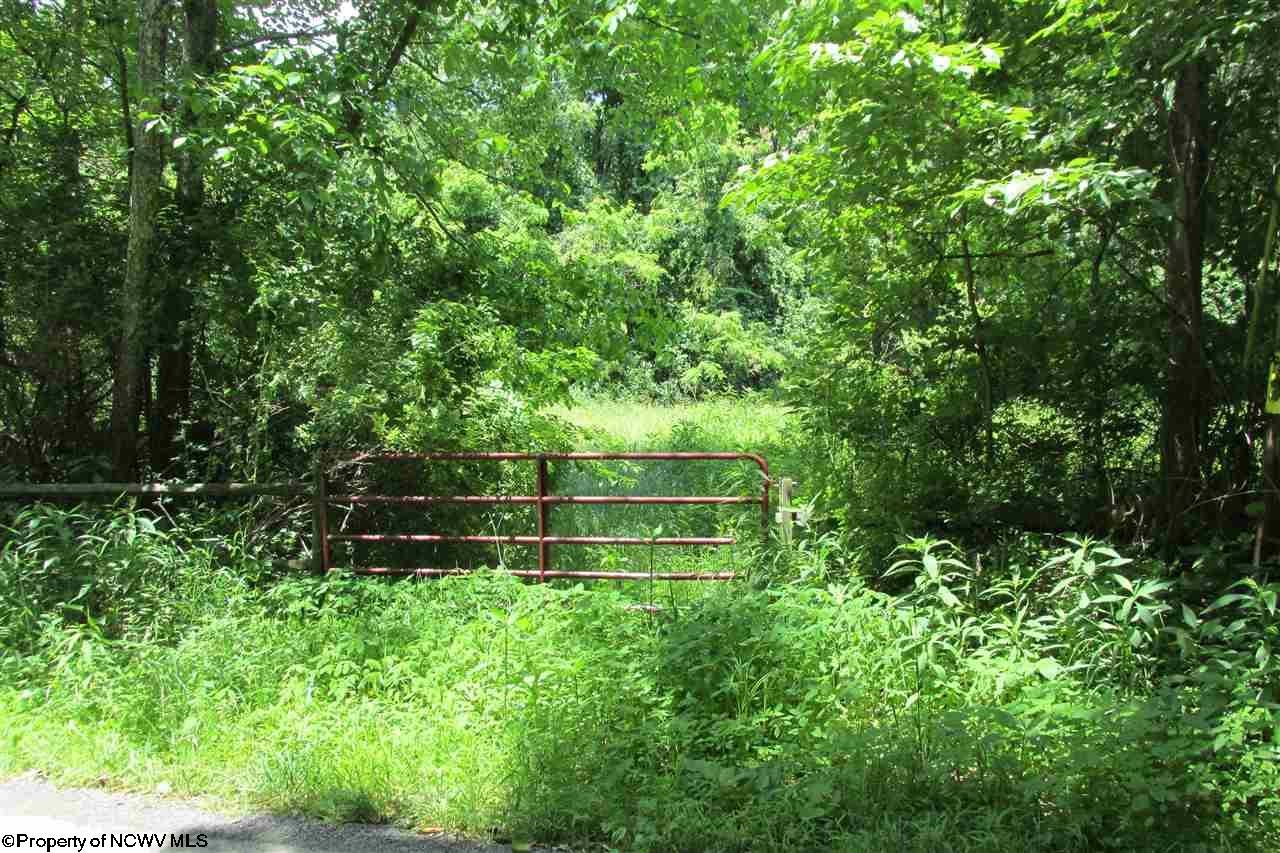 38.458-acres Hammond Road Fairmont, WV 26554 - Photo 3 of 6 Gallery Image 3