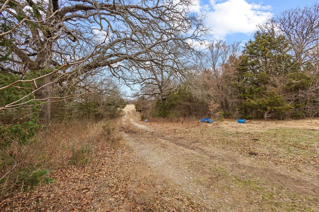 265 Cooks Corner Road Pottsboro, TX 75076 - Photo 5 of 40 a view of a yard with a tree