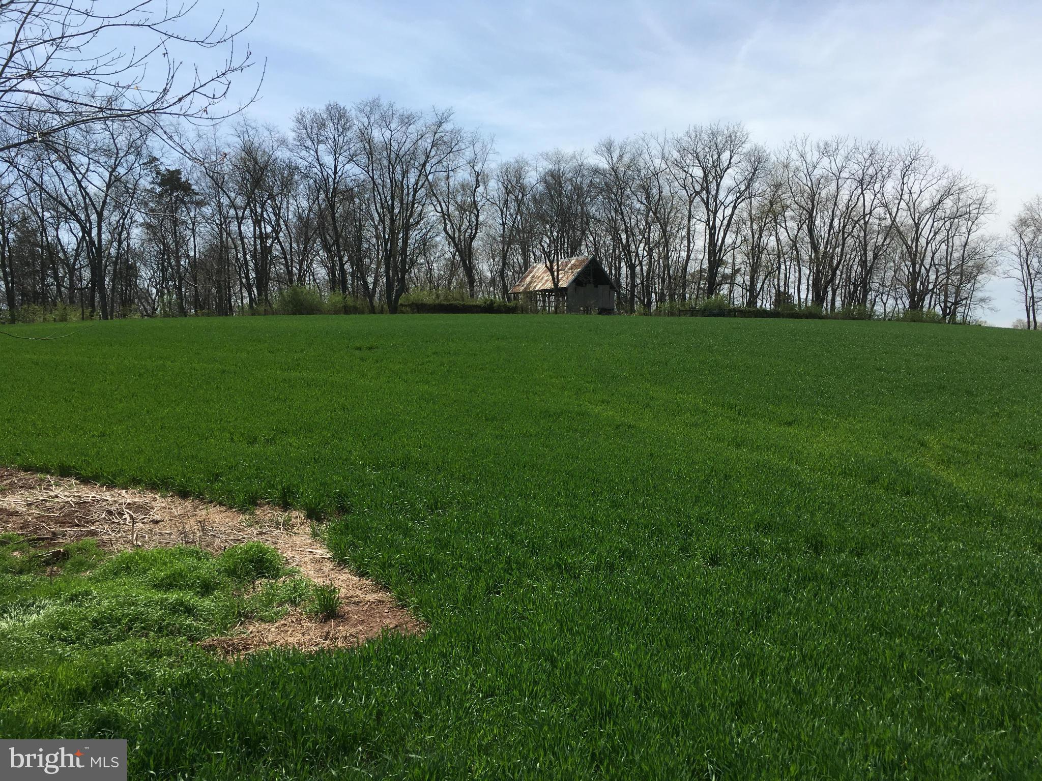 Longs Mill Road Rocky Ridge, MD 21778 - Photo 5 of 15 Exterior (General)