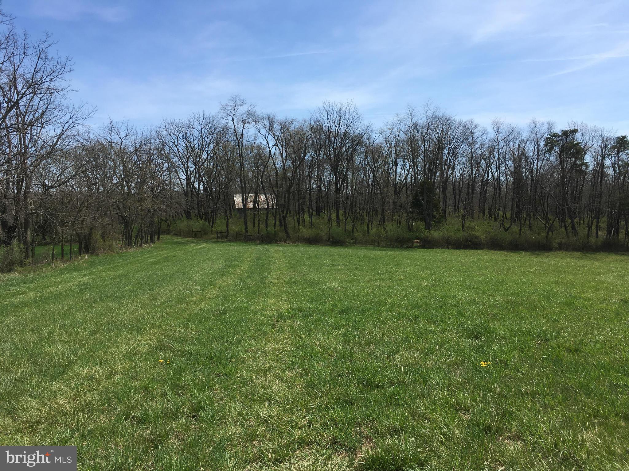 Longs Mill Road Rocky Ridge, MD 21778 - Photo 7 of 15 Exterior (General)