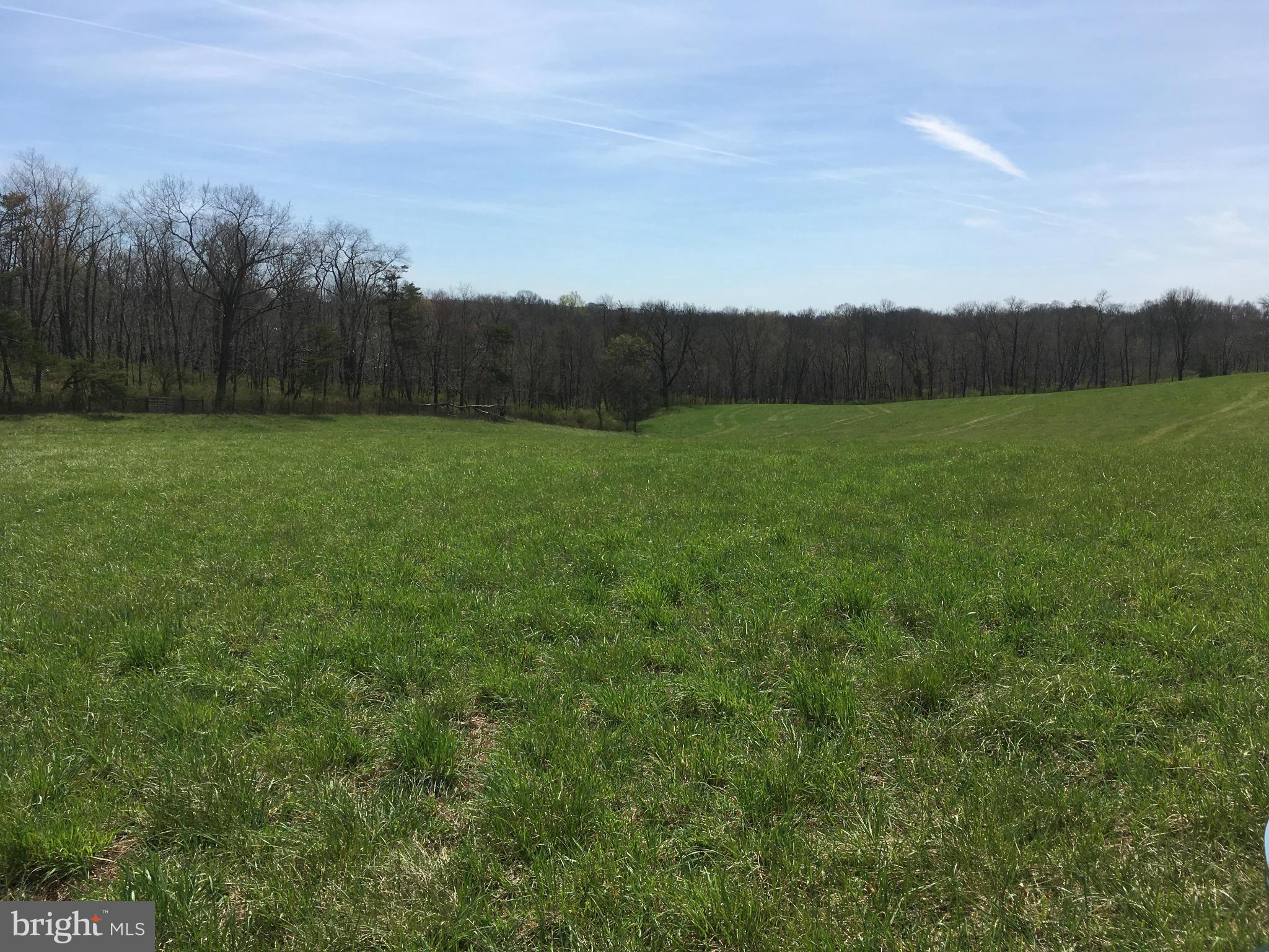 Longs Mill Road Rocky Ridge, MD 21778 - Photo 8 of 15 Exterior (General)