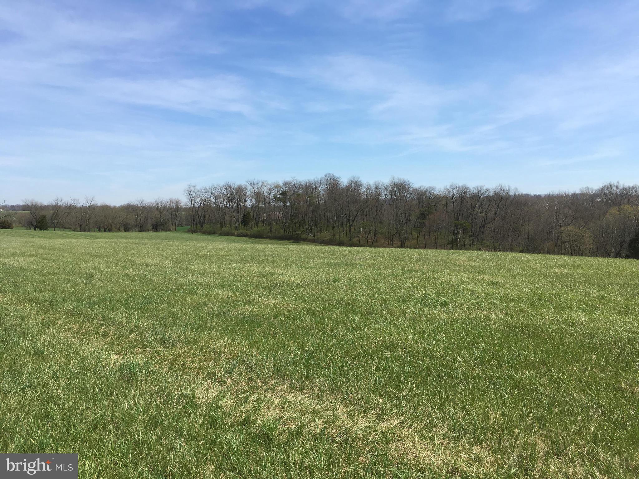 Longs Mill Road Rocky Ridge, MD 21778 - Photo 10 of 15 Exterior (General)