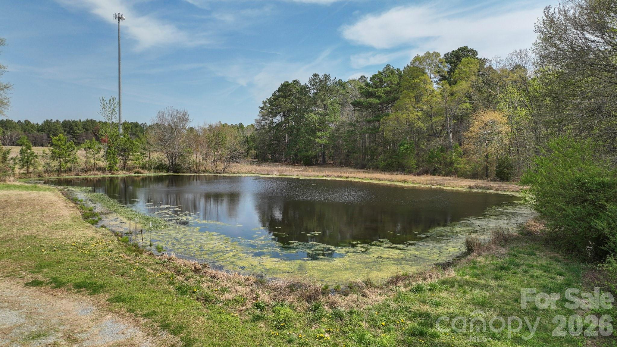 7301 Wolf Pond Road Monroe, NC 28112 - Photo 10 of 14 a view of a lake view