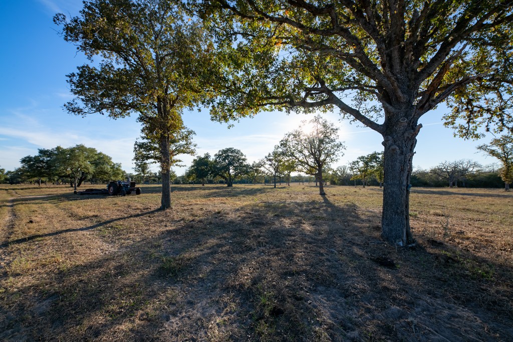 1038 Old Goliad Road Goliad, TX 77963 - Photo 12 of 32 a view of outdoor space with trees