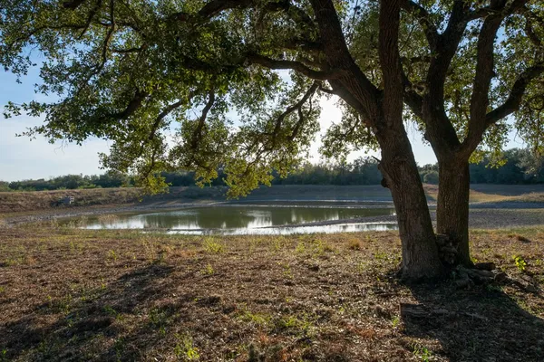 a view of lake with green space