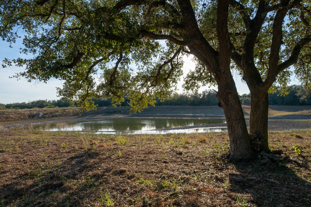 1038 Old Goliad Road Goliad, TX 77963 - Photo 13 of 32 a view of a lake view