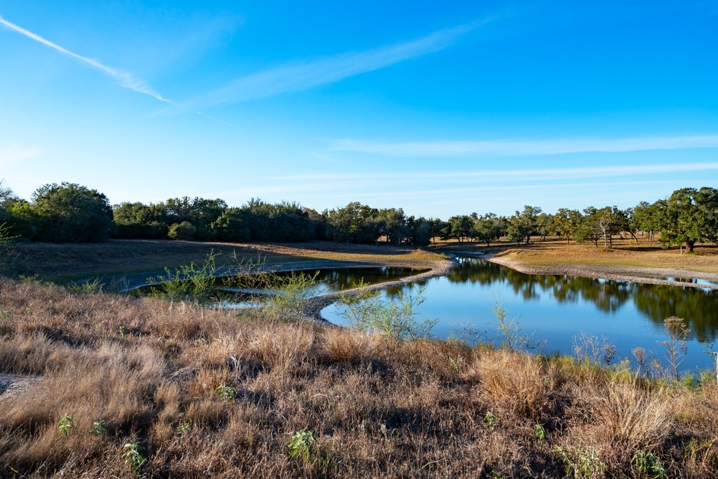 1038 Old Goliad Road Goliad, TX 77963 - Photo 14 of 32 a view of lake with green space