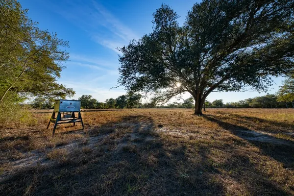 a view of a back yard from a bench