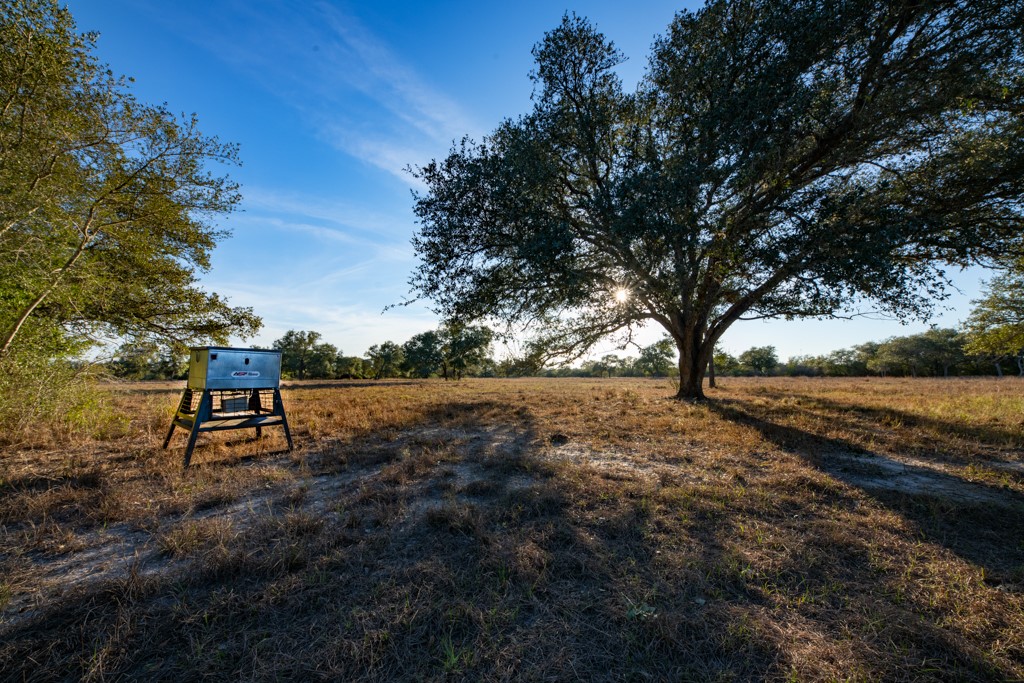 1038 Old Goliad Road Goliad, TX 77963 - Photo 15 of 32 a view of outdoor space with trees