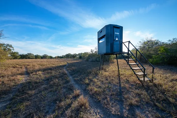 a view of a field of grass and trees