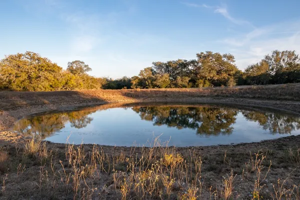 a view of open space with trees