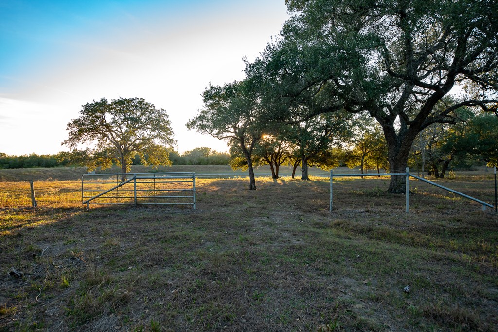 1038 Old Goliad Road Goliad, TX 77963 - Photo 19 of 32 a view of open space with trees