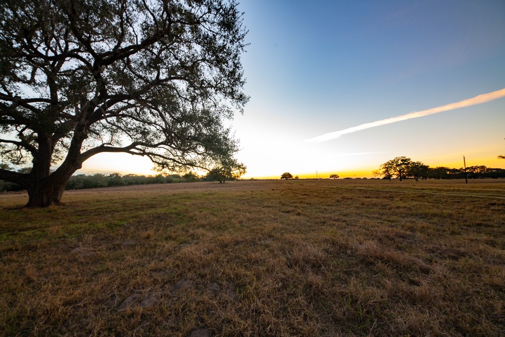 1038 Old Goliad Road Goliad, TX 77963 - Photo 20 of 32 a view of mountain view with large tree