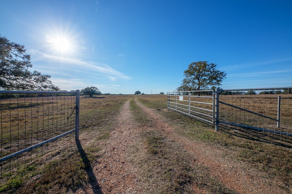 1038 Old Goliad Road Goliad, TX 77963 - Photo 2 of 32 a view of a pathway with a wrought fence