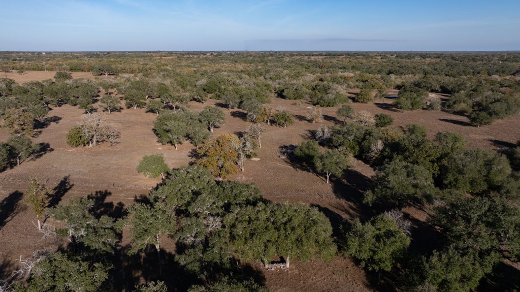 1038 Old Goliad Road Goliad, TX 77963 - Photo 23 of 32 an aerial view of a houses with ocean view