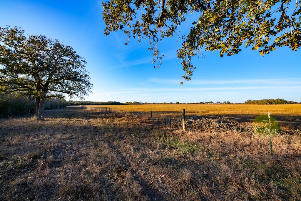 1038 Old Goliad Road Goliad, TX 77963 - Photo 28 of 32 a view of a yard with wooden fence