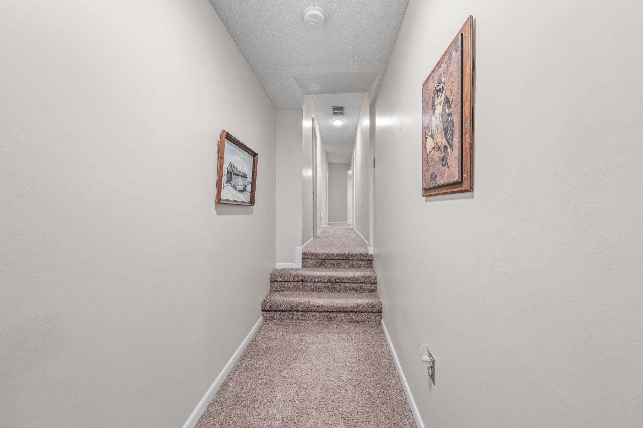 10833 1st Street Stanwood, MI 49346 - Photo 31 of 39 hallway