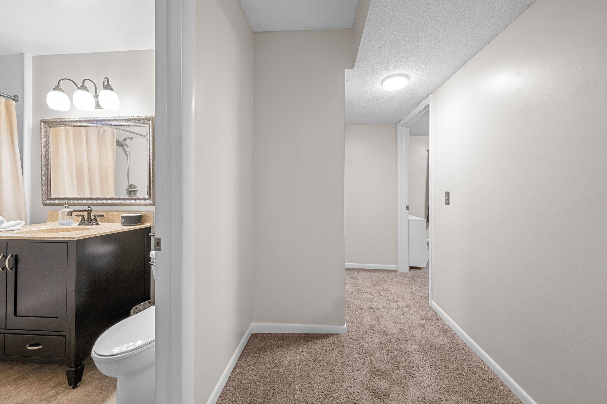 10833 1st Street Stanwood, MI 49346 - Photo 35 of 39 hallway