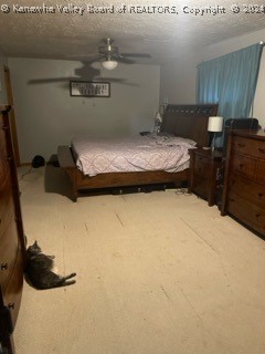6730 Hurricane Creek Road Winfield, WV 25213 - Photo 12 of 20 Gallery Image 12
