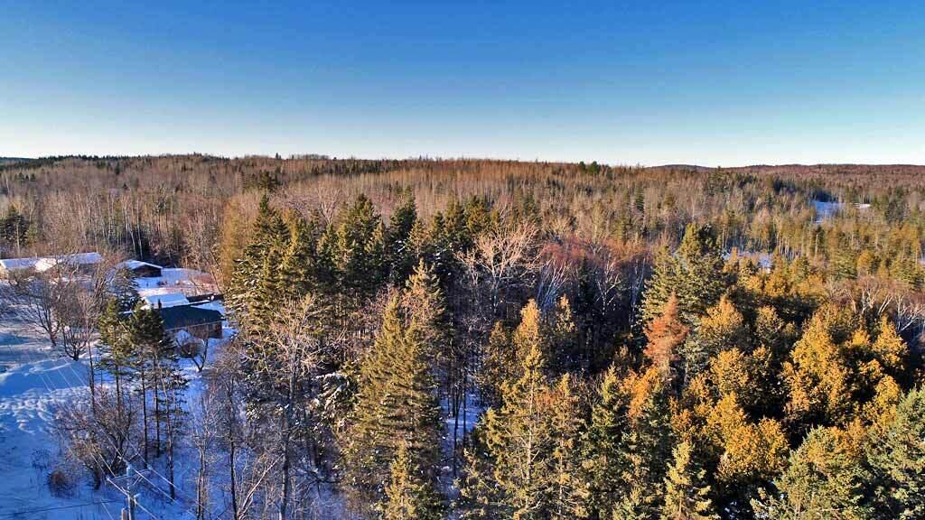 Lot 6 Ludlow Road Houlton, ME 04730 - Photo 14 of 28 land-maine-ludlow-me-1