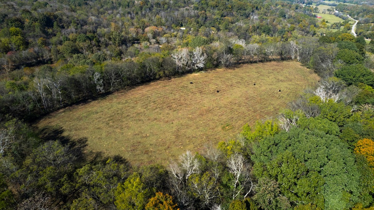 1121 Rolin Hollow Road Ardmore, TN 38449 - Photo 12 of 46 Gallery Image 12
