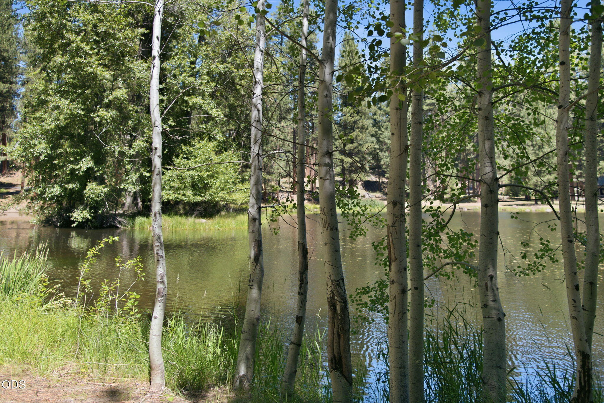 13569 Valerian, Unit AH3 Black Butte Ranch, OR 97759 - Photo 35 of 36
