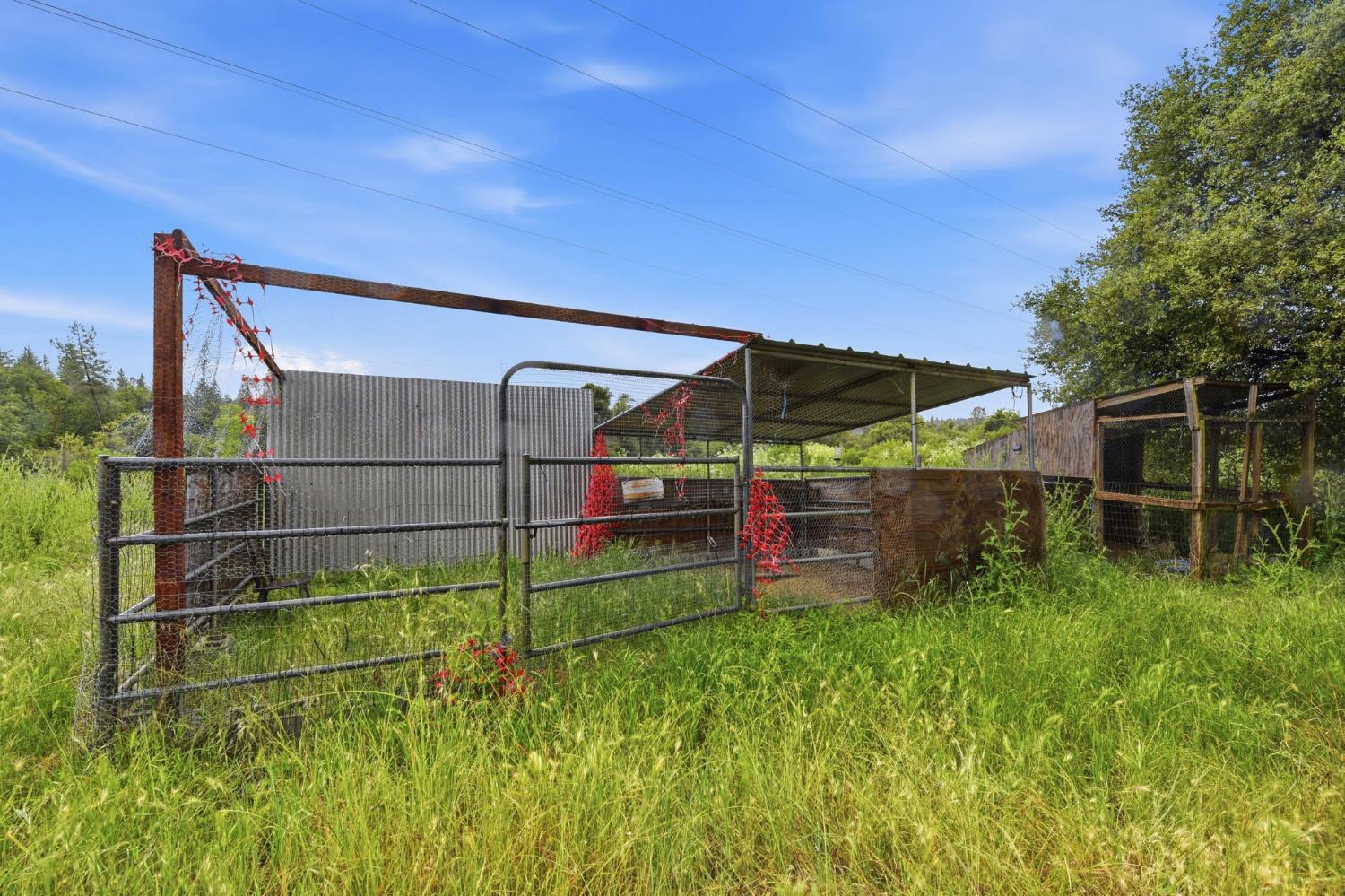 1950 Bear Rock Road Placerville, CA 95667 - Photo 42 of 50