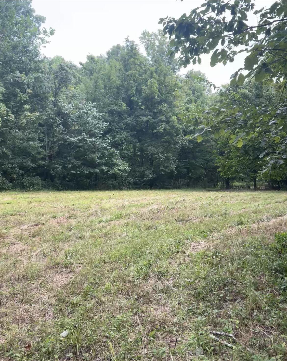 726 Old Brown Road Salvisa, KY 40372 - Photo 42 of 89 IMG_9124