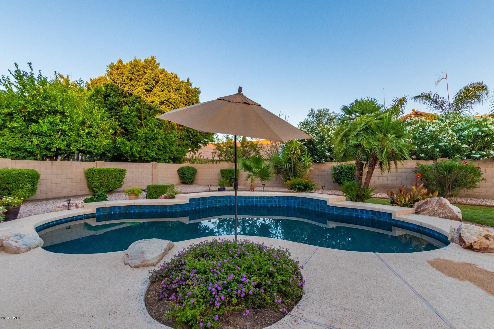6015 East Phelps Road Scottsdale, AZ 85254 - Photo 51 of 72 Pool
