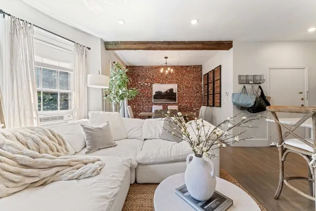 a living room with furniture and potted plants