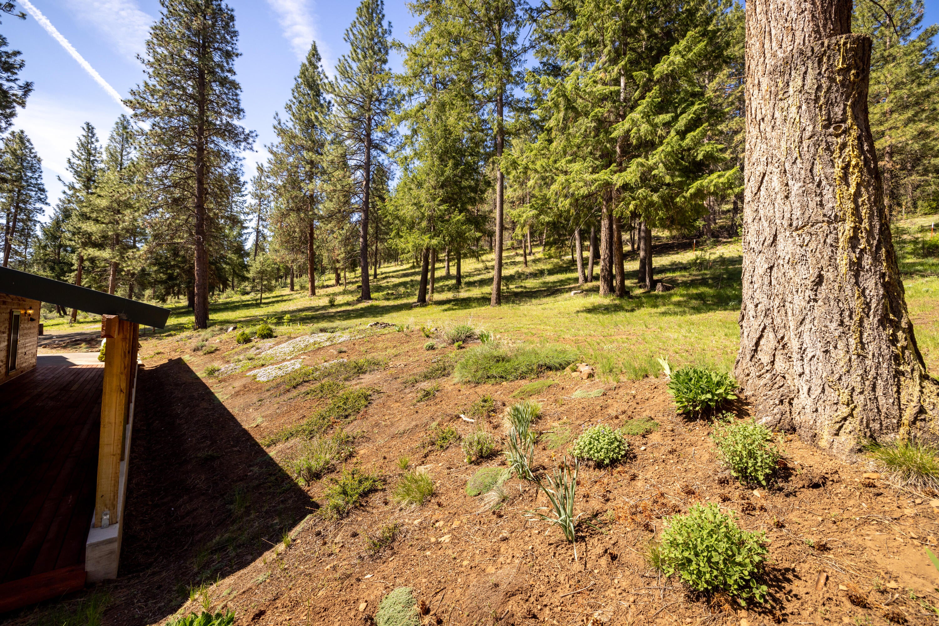 11550 Simpson Canyon Road Klamath Falls, OR 97601 - Photo 58 of 80 11550SimpsonCanyonRd.-46