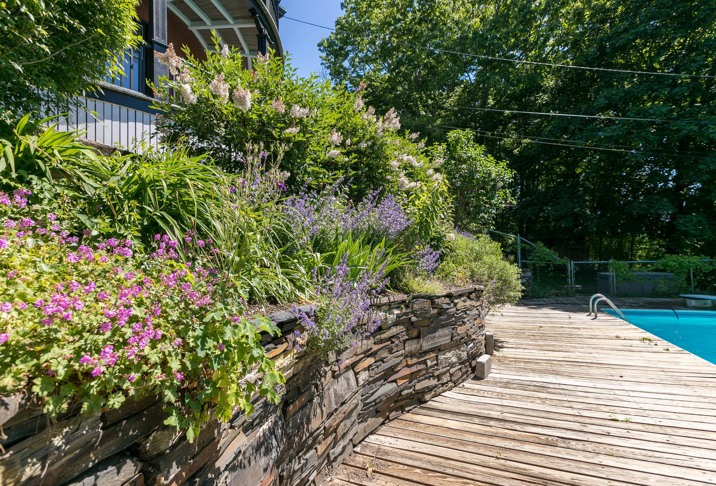 46 Western Prom, Unit PROMENADE Portland, ME 04102 - Photo 51 of 59 Gardens