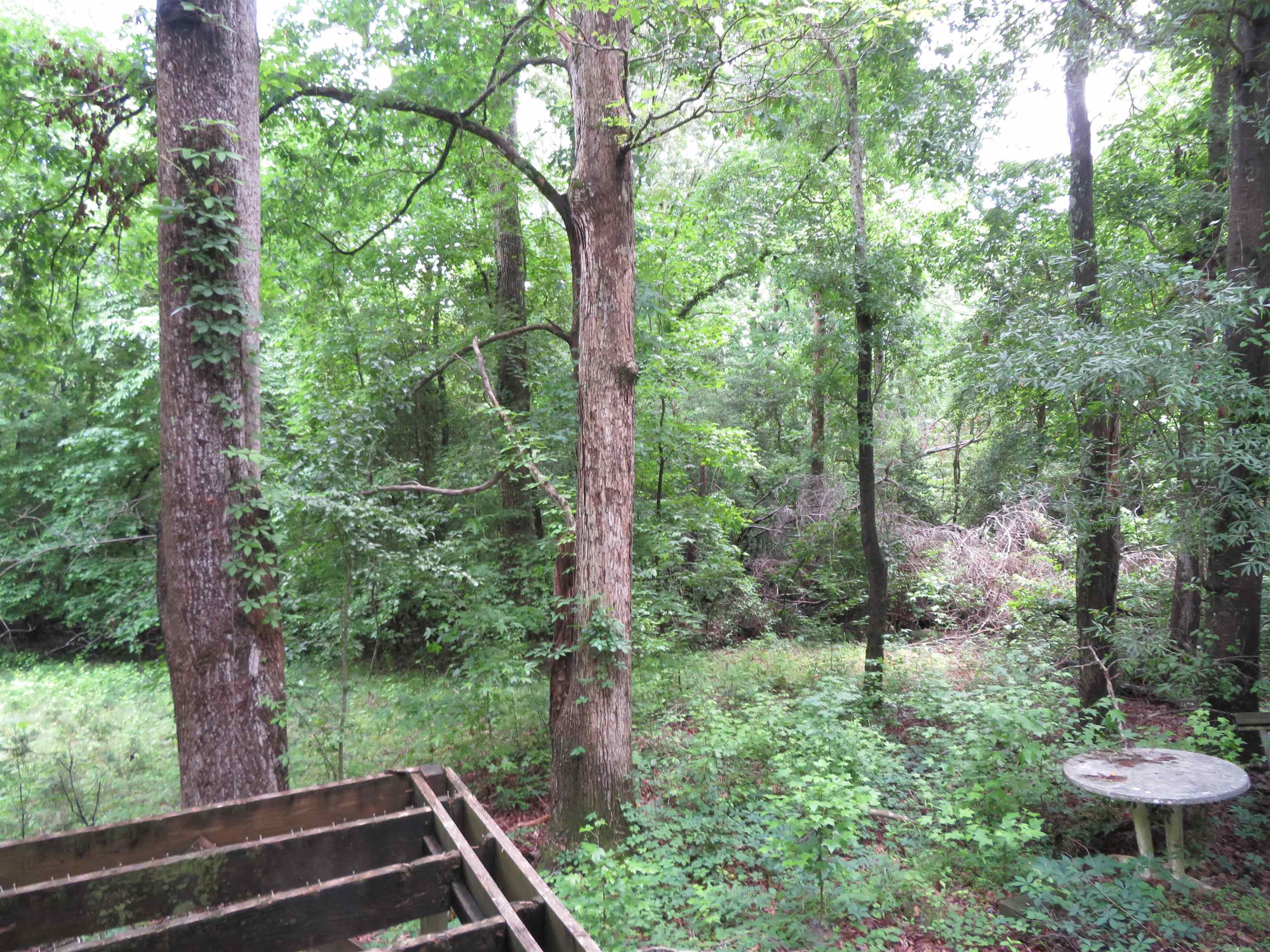 290 Triple H Farm Road Inman, SC 29349 - Photo 23 of 26