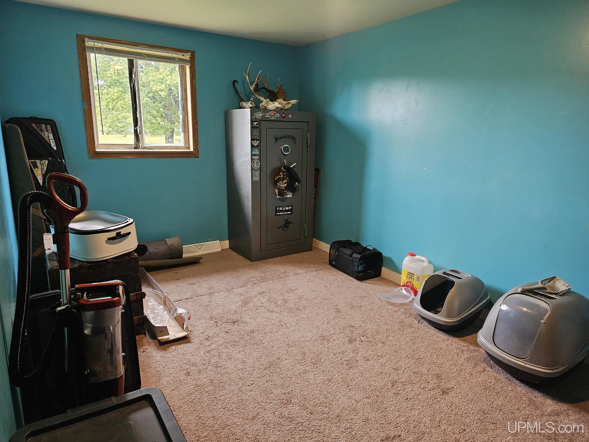 745 North Murphy Lake Road Manistique, MI 49854 - Photo 23 of 40