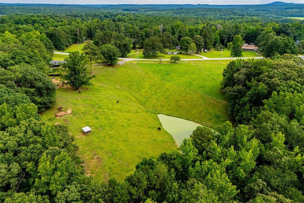 4624 Jacksonville Road Buchanan, GA 30113 - Photo 9 of 52