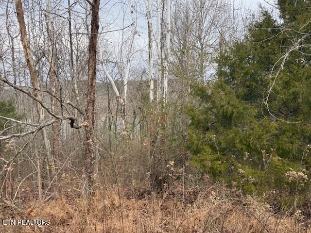 154 Pineberry East Road, Unit 165 Oak Ridge, TN 37830 - Photo 2 of 22 IMG_5067