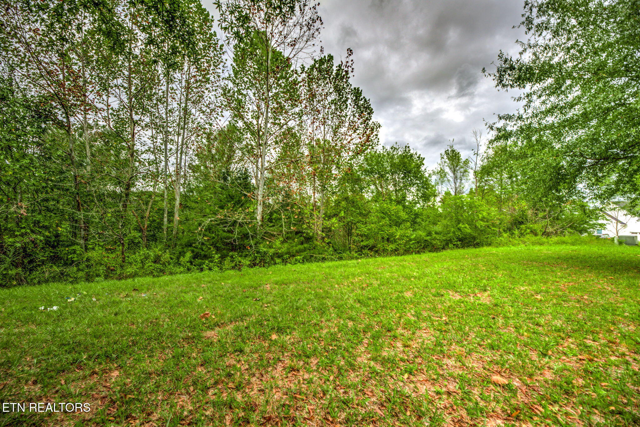 154 Pineberry East Road, Unit 165 Oak Ridge, TN 37830 - Photo 3 of 22 154 front 2
