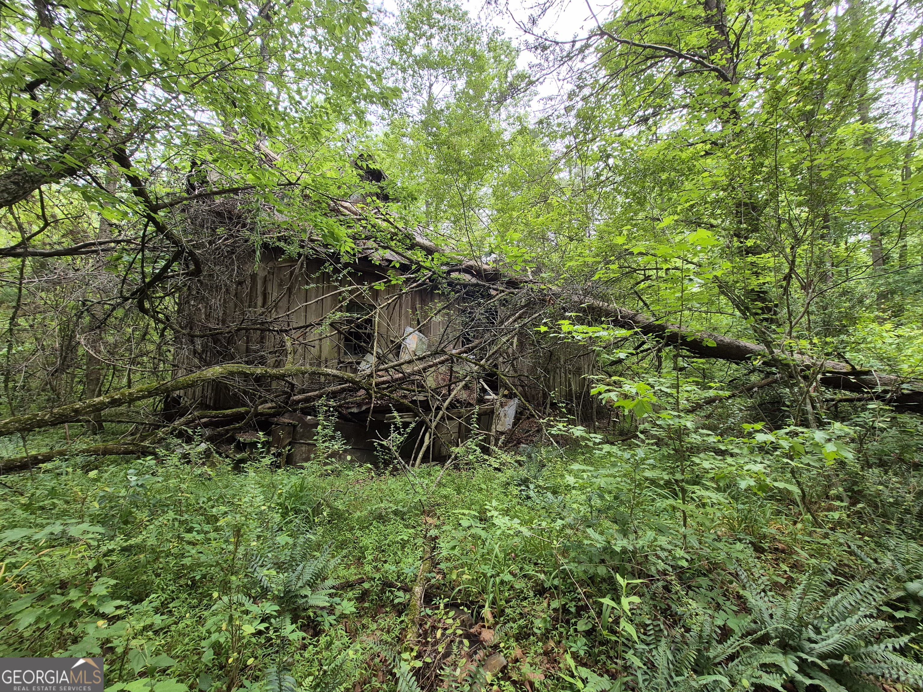 0 Hardman Road Sautee Nacoochee, GA 30571 - Photo 12 of 16