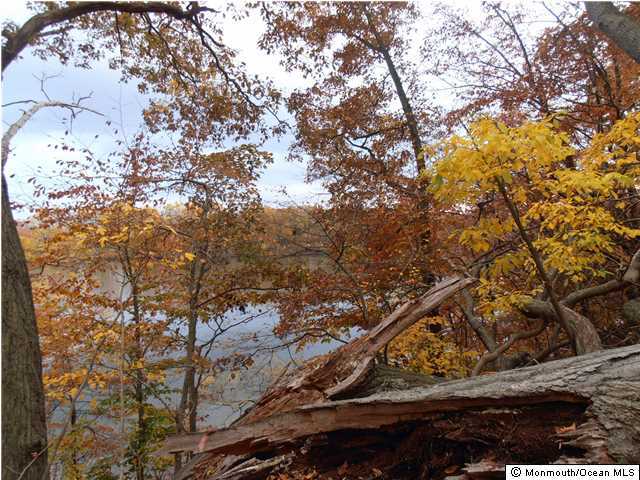 25 Beaver Dam Road Colts Neck, NJ 07722 - Photo 5 of 15 a view of mountain view with a tree