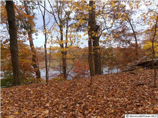 25 Beaver Dam Road Colts Neck, NJ 07722 - Photo 6 of 15 a backyard of a house with lots of green space